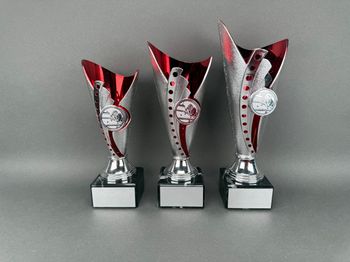 Huvudbild Trofé Jenny