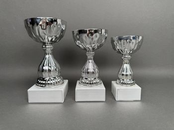 Huvudbild Pokal Selma