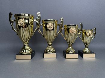 Huvudbild Trofé Karin