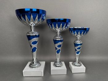 Huvudbild Pokal Signe