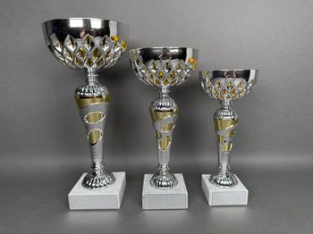 Huvudbild Pokal Victoria