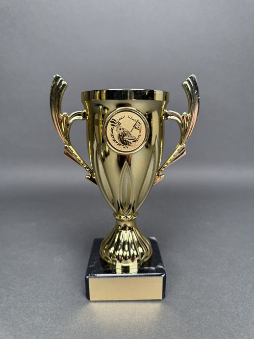 Huvudbild Trofé Karin, Guld, 152mm, Diameter 60mm