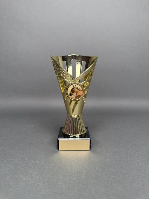 Huvudbild Trofé Aino, Guld, 160mm