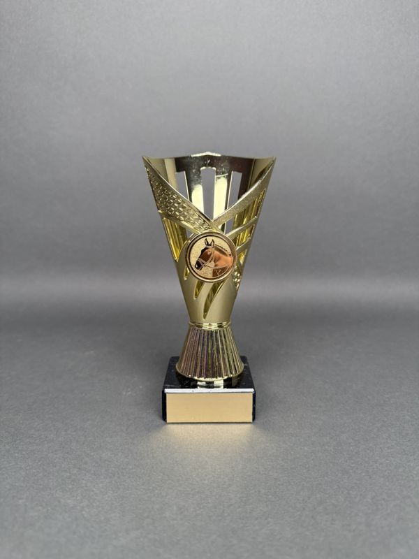 Trofé Aino, Guld, 160mm